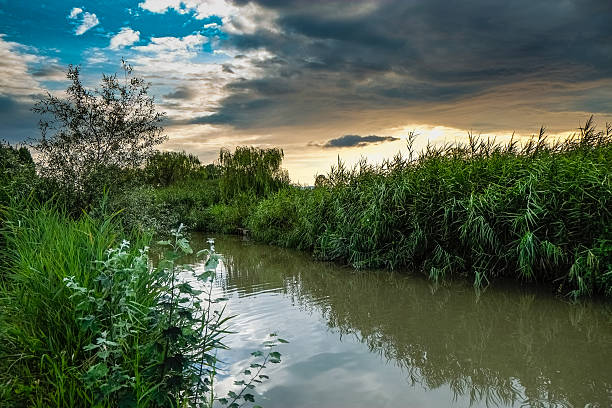 Canneto del Padule di Fucecchio al tramonto