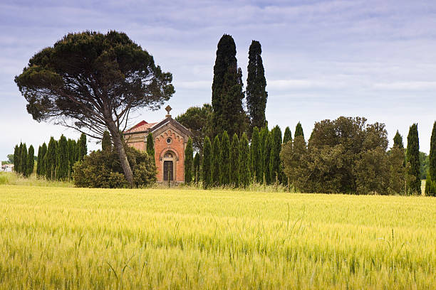 Chiesetta di campagna nella pianura della Valdinievole